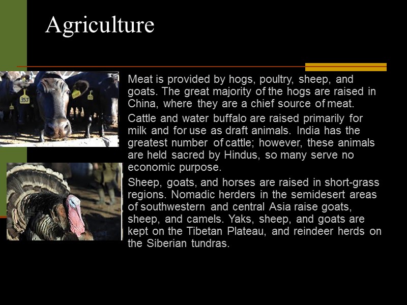 Agriculture  Meat is provided by hogs, poultry, sheep, and goats. The great majority